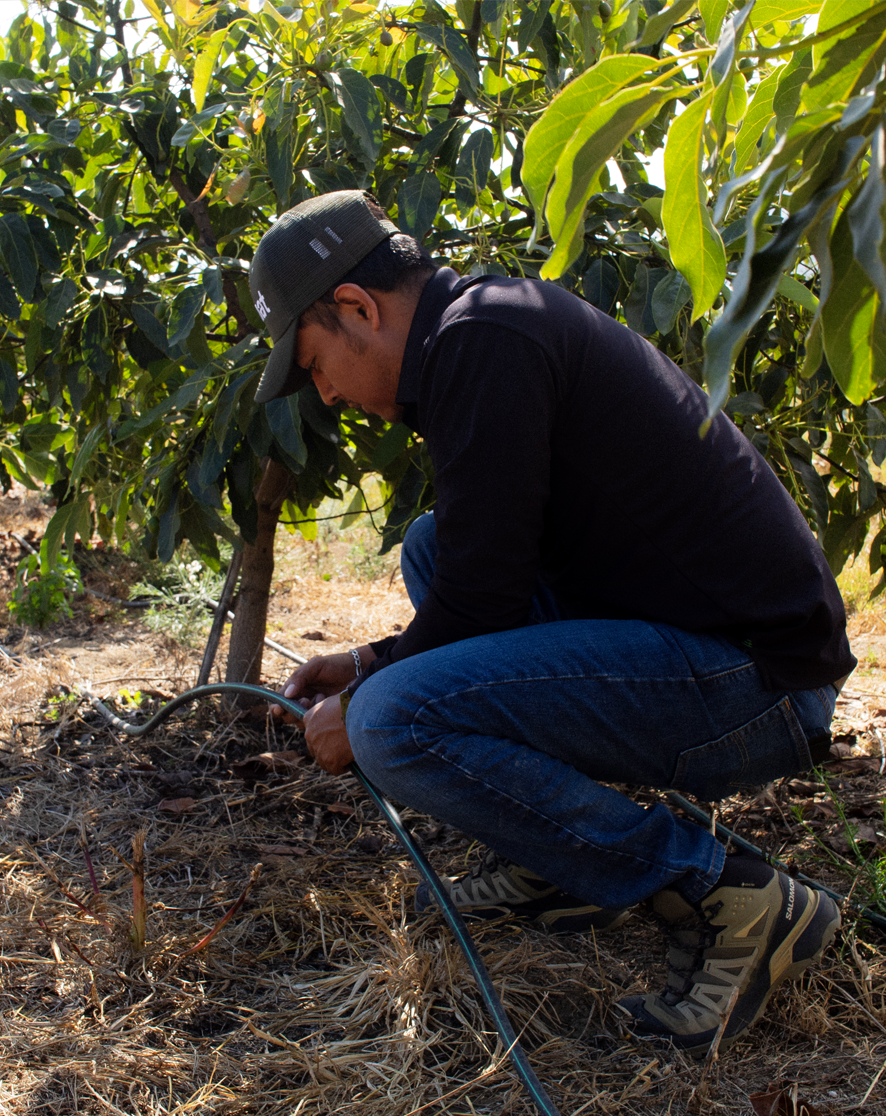 Sobre Nosotros - equipo Aqunat