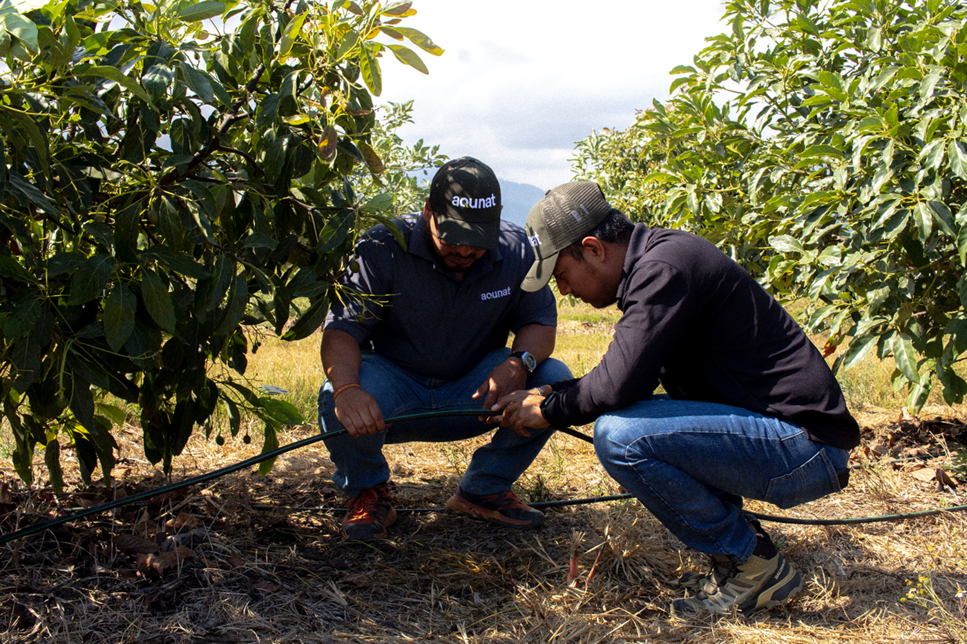 Riego por Goteo - Aqunat