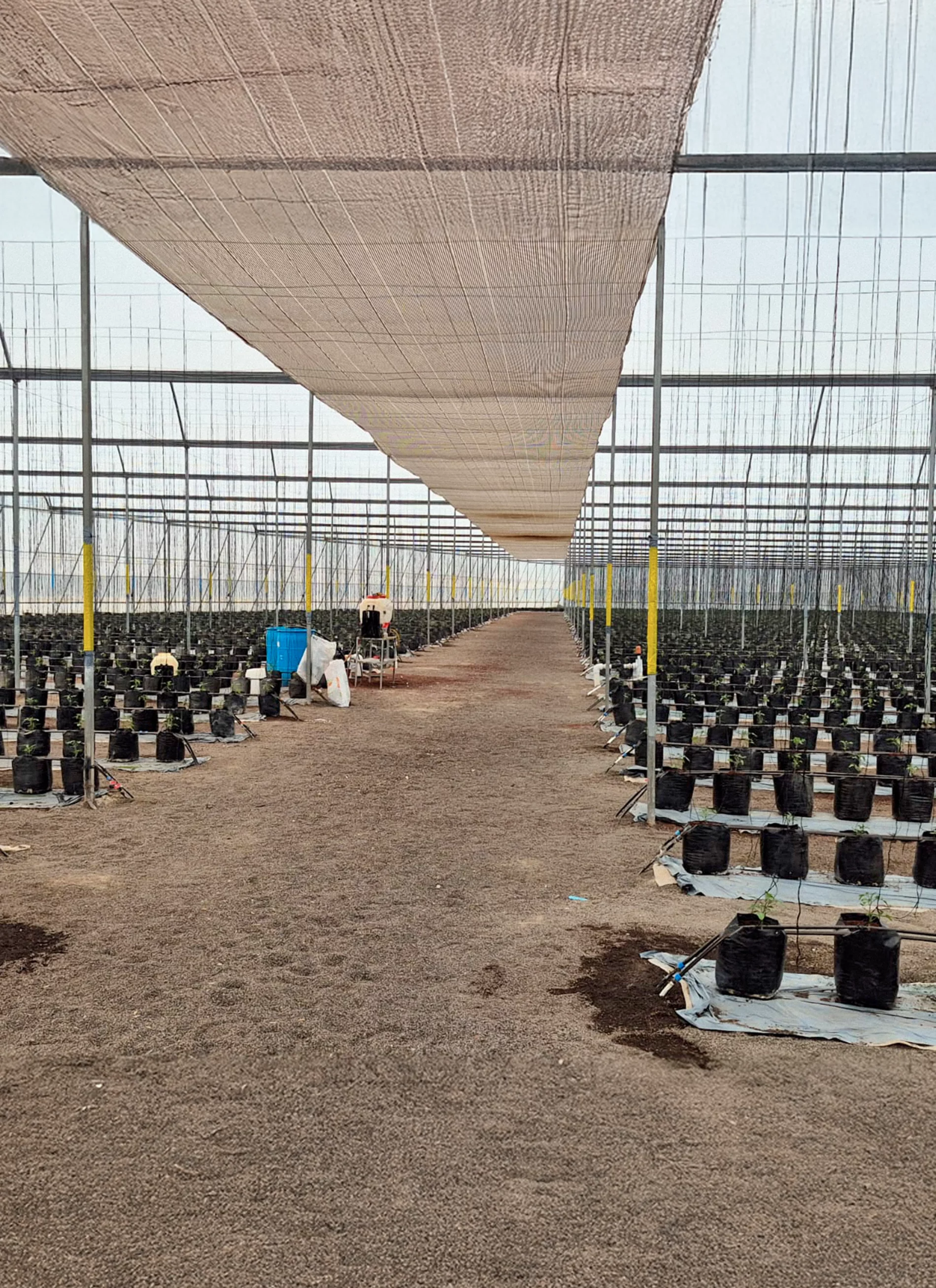 Accesorios Campo Aqunat